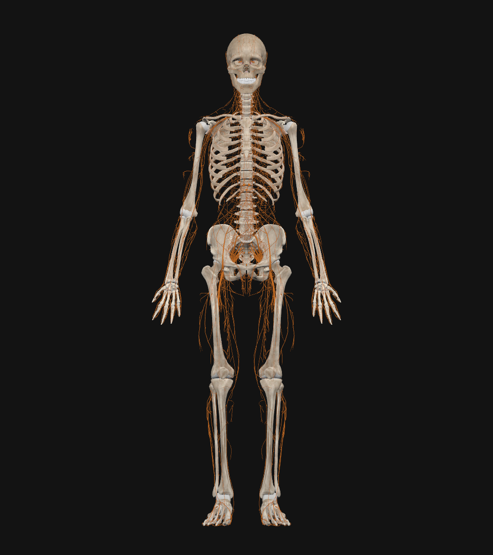 1760582443139430.png 1760582443139430.png